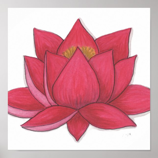 Lotosblume Poster (Vorne)