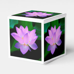 Lotosblüte Geschenkschachtel