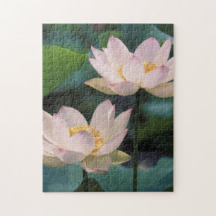 Lotosblüte in Blüte, China Puzzle