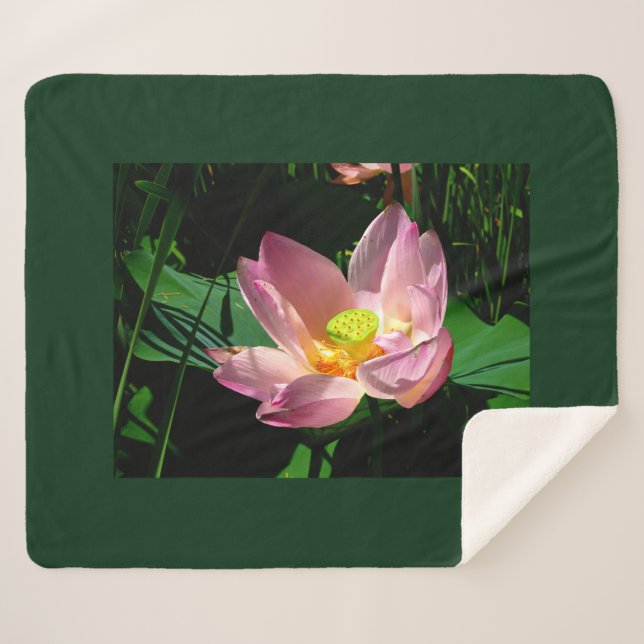 Lotosblüte Sherpadecke (Vorderseite (Horizontal))