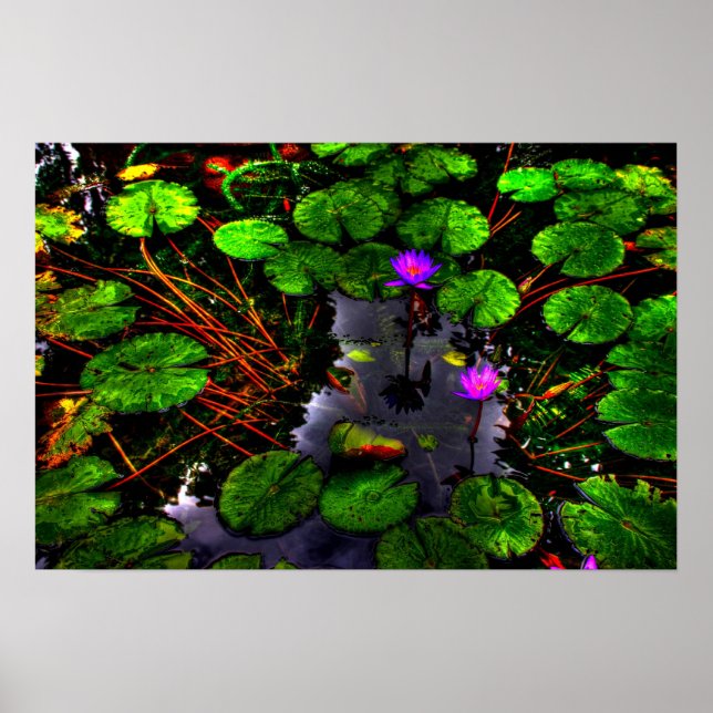 Lotus 1 poster (Vorne)