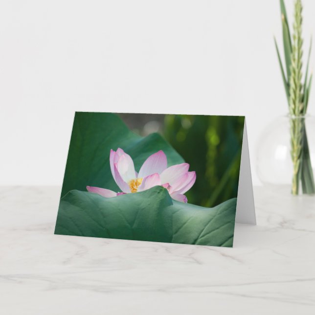 Lotus #2525 karte (Vorderseite)