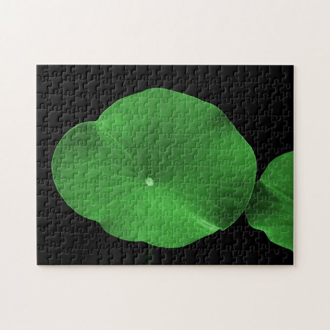Lotus-Blätter Puzzle (Horizontal)