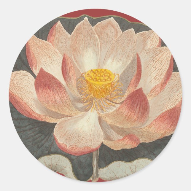 Lotus Blossom, Lilypad, Wasserlily Buddhistisches  Runder Aufkleber (Vorderseite)