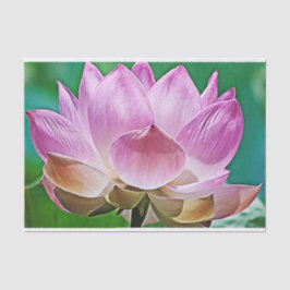 Lotus blossom seidenpapier