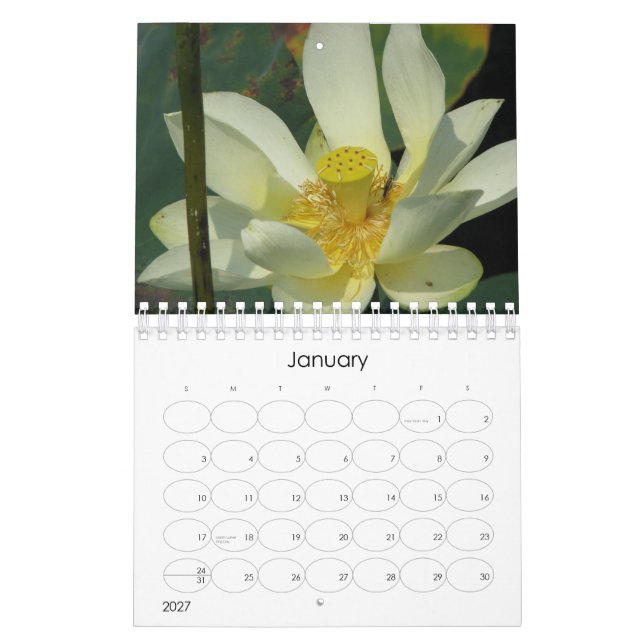 Lotus Blume 2008 Kalender (Jan 2027)