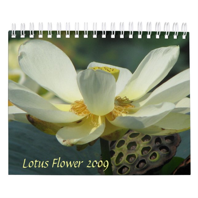 Lotus Blume 2009 Kalender (Titelbild)