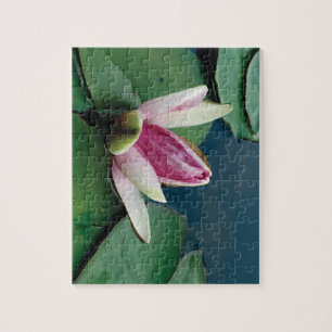 Lotus Blume 8x10 Foto Puzzle mit Geschenkboxen