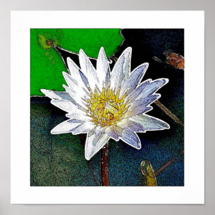 LOTUS BLUME ART POSTER
