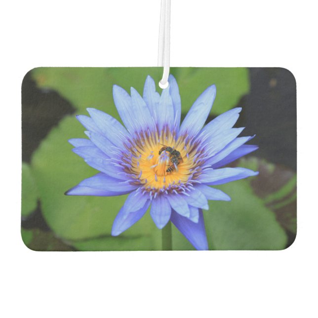 Lotus Blume Autolufterfrischer (Rückseite)
