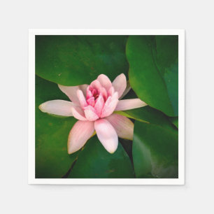 Lotus Blume Blossom Foto Grünes Blattwerk Serviette