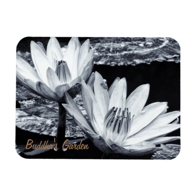 Lotus Blume & Buddhas Geheimgarten /Meditation Magnet (Horizontal)