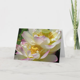 Lotus Blume Duet Karte