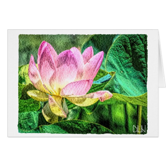 Lotus Blume/Florenz (Vorderseite (Horizontal))