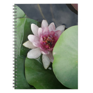 Lotus Blume Foto Notebook Notizblock