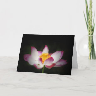 Lotus Blume Fotografie Great Yoga Om Geschenk!L Karte