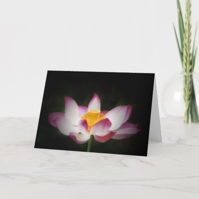 Lotus Blume Fotografie Great Yoga Om Geschenk!L Karte (Vorderseite)