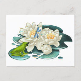 Lotus Blume, Frosch und Dragonfly Postkarte