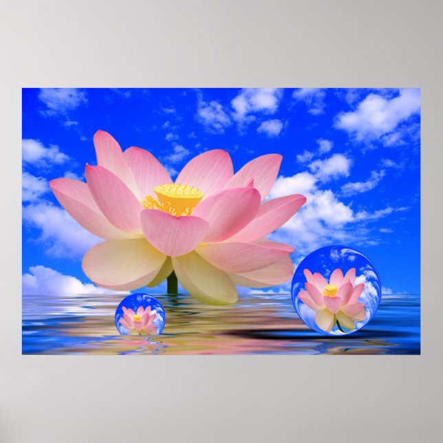 Lotus Blume Geboren in Wasser Poster (Vorne)
