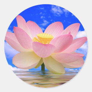 Lotus Blume Geboren in Wasser Runder Aufkleber