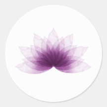 Lotus-Blume in lila Farbe