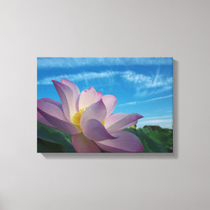 Lotus Blume Leinwanddruck