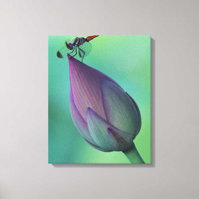 Lotus-Blume Leinwanddruck (Vorderseite)