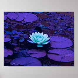 Lotus Blume Lila Blue Türkise Floral Pond Zen Poster