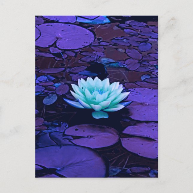 Lotus Blume Lila Blue Türkise Floral Pond Zen Postkarte (Vorderseite)