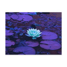 Lotus Blume Lila Blue Türkise Floral Pond Zen