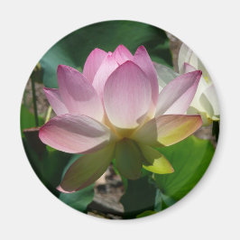 Lotus Blume Magnet