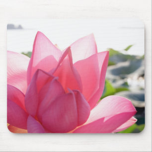 Lotus-Blume [Nelumbo-Speziosum] Mousepad