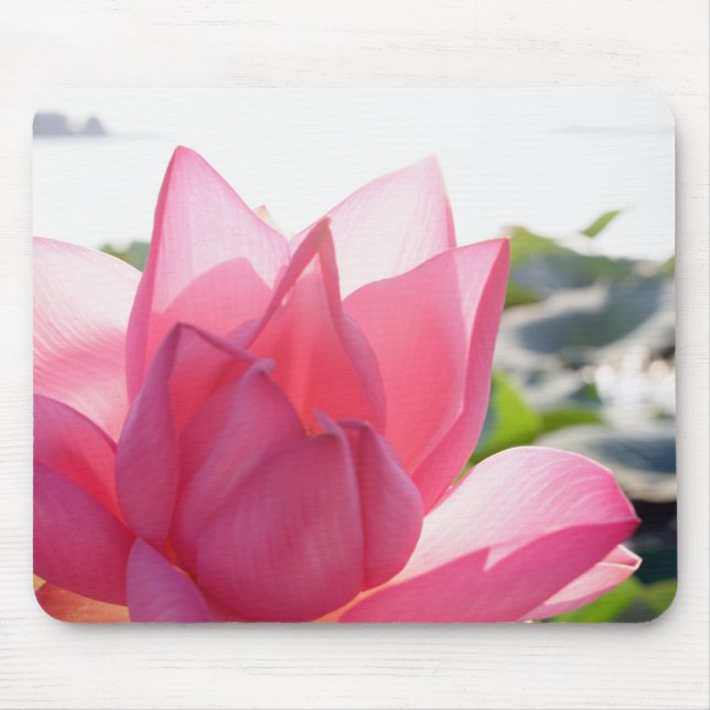 Lotus-Blume [Nelumbo-Speziosum] Mousepad (Vorne)