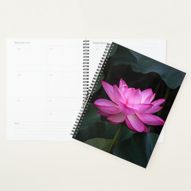 Lotus Blume Planer (Anzeige)