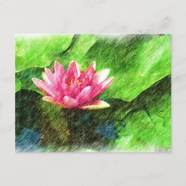 Lotus Blume Postkarte (Vorderseite)