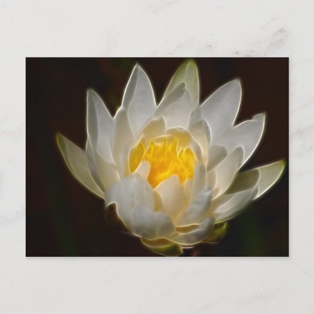 Lotus-Blume Postkarte (Vorderseite)
