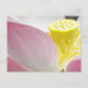Lotus Blume Postkarte (Vorderseite)
