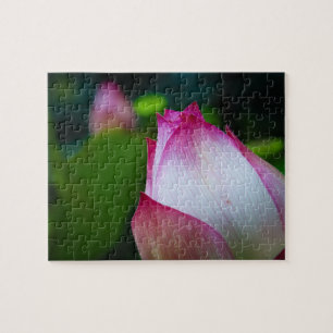 Lotus Blume - Puzzles