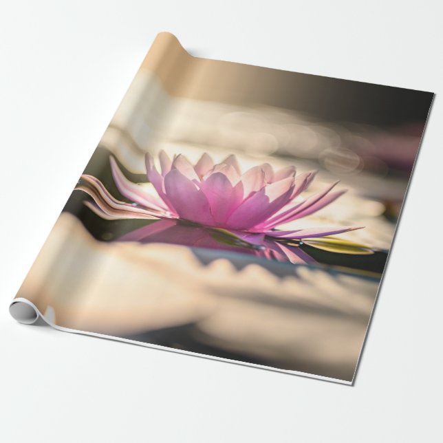 Lotus Blume, See, Zen Geschenkpapier (Ungerollt)
