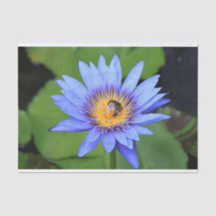 Lotus Blume Seidenpapier