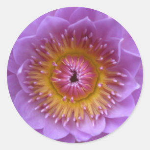 Lotus Blume Stickers
