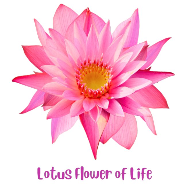 Lotus-Blume T-Shirt (Von Creator hochgeladen)