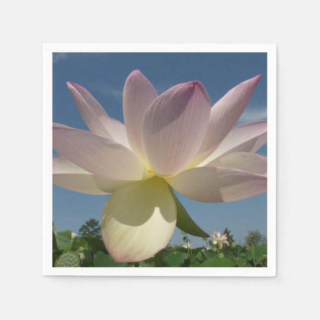 Lotus Blume und Blue Sky II Serviette (Vorderseite)