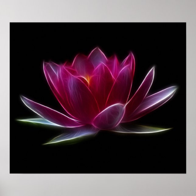 Lotus Blume Wasser Pflanze Poster (Vorne)