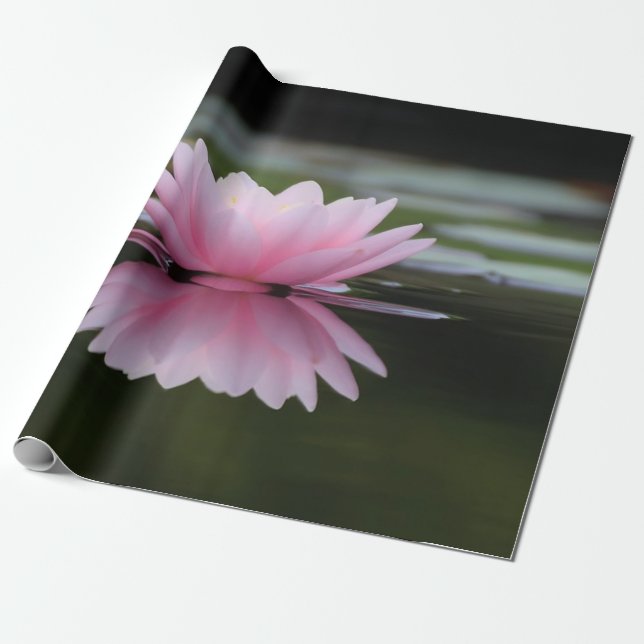 Lotus Blume, Zen Geschenkpapier (Ungerollt)