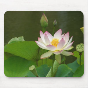 Lotus-Blüte Mousepad