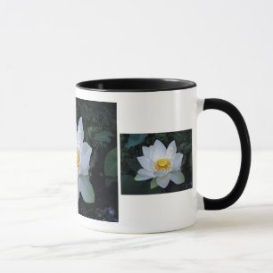 Lotus-Blüte Tasse