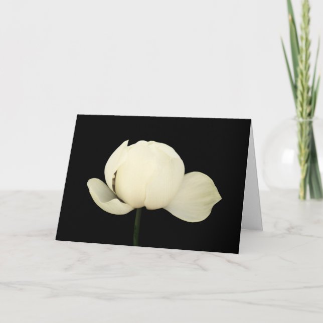 Lotus Bud Karte (Vorderseite)