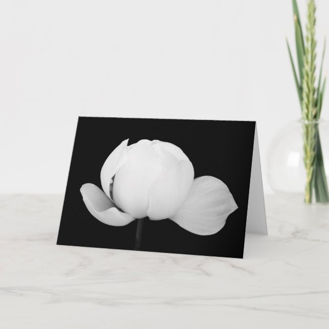 Lotus Bud Karte (Vorderseite)