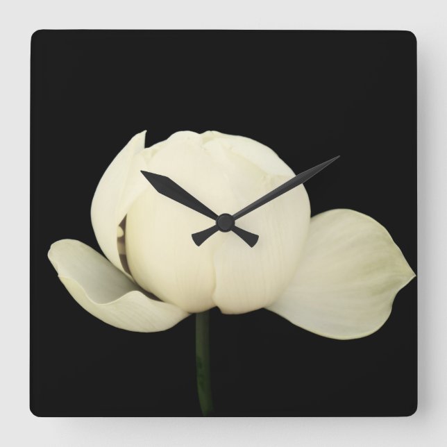 Lotus Bud Quadratische Wanduhr (Vorderseite)